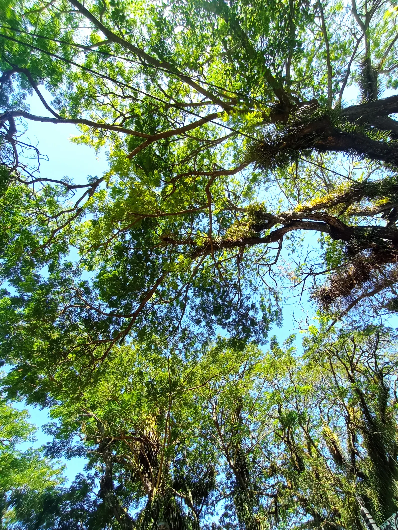 Taman Kota Gorontalo — photo 3